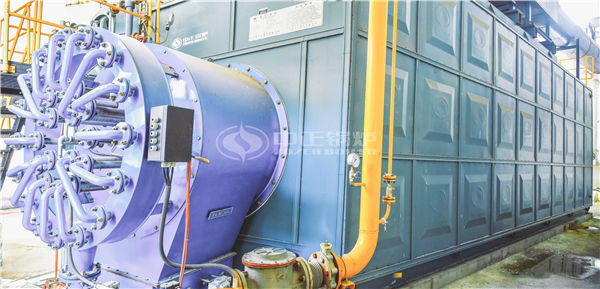 重慶導熱油鍋爐