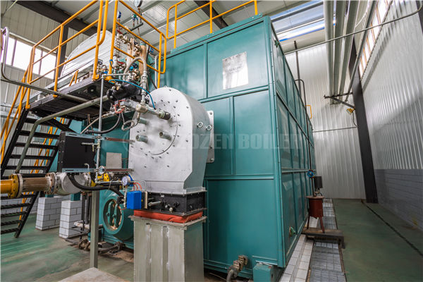 迪森鍋爐WNS10-1.25-Y,Q