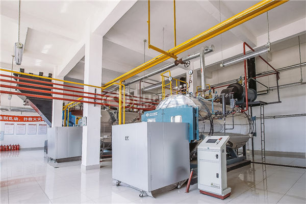 新能源秸稈料鍋爐多少錢