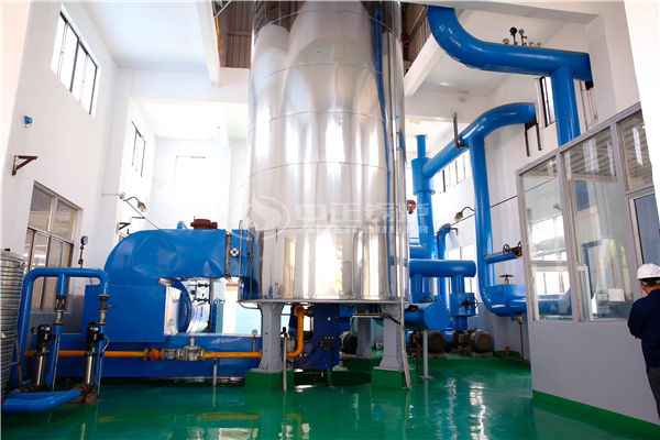 供7000平酒店暖氣和熱水的1.5噸臥式燒煤或1.5噸午夜黄色影院