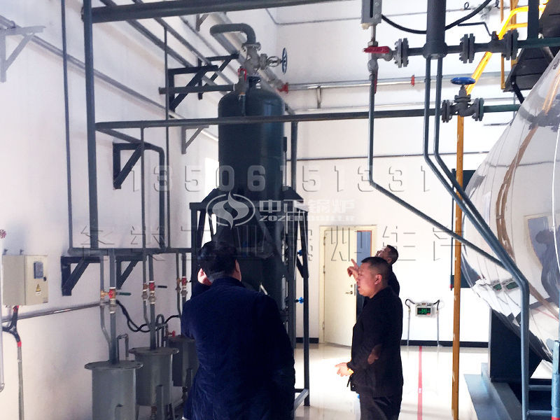 最大生物質鍋爐